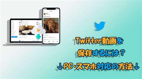 twitter 動画を保存する方法|X/Twitterの動画をPCに保存する方法（2023年11月最。